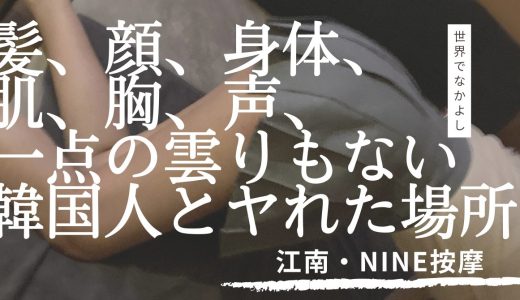 【ソウル夜遊び】NINEで髪、顔、身体、肌、全て一点の雲りもない韓国爆美女と遊べたw【韓国・江南】
